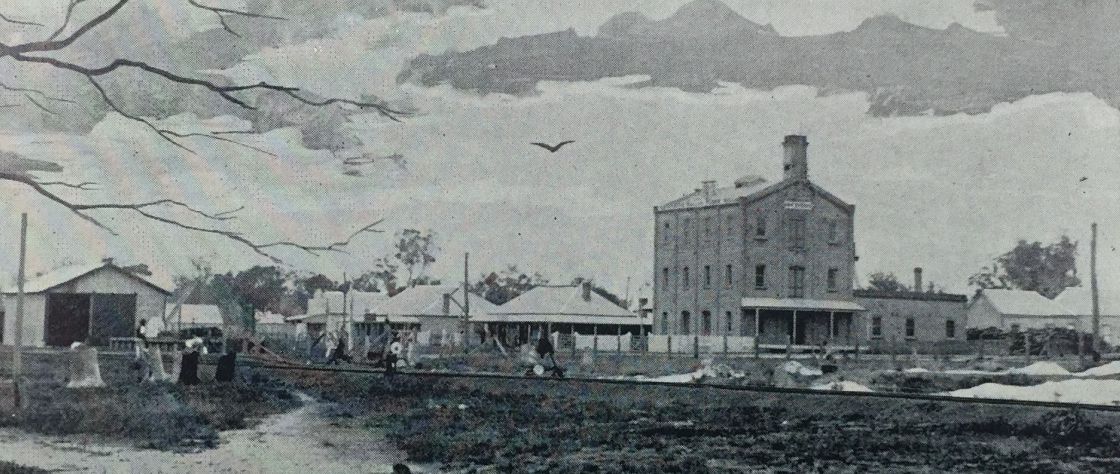 This black and white image of an oil painting that depicts Katanning in it's early years. From left to right it features the railway station, rail storage shed, aerated water factory, Katanning Hotel, F&C Piesse's Store, The Mill, The Power House, Piesse's Blacksmiths and Piesse's Hall. It is estimated that this was painted in 1897.